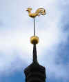 Riga_Cathedral_weather_cock.jpg (37219 byte)