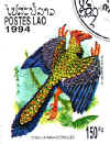 Archaeopteryx Laos.jpg (69696 byte)