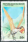 Dimorphodon.jpg (71137 byte)
